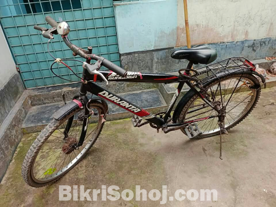 Duranta Black Knight Dream cycle