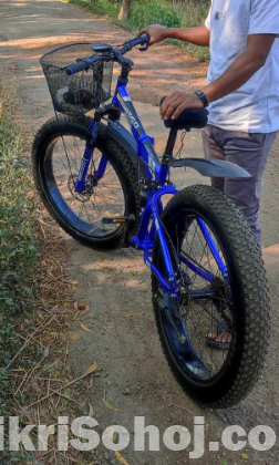 Fat bicycle 26