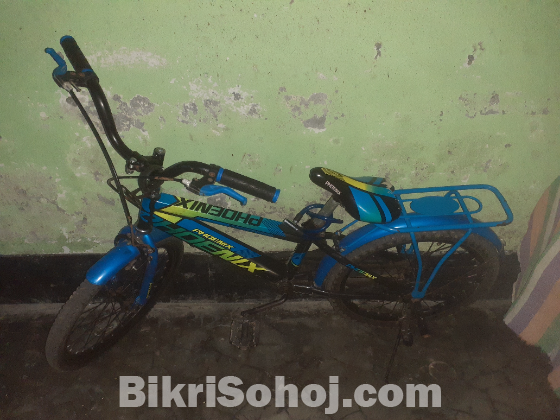 Phonix bycycle