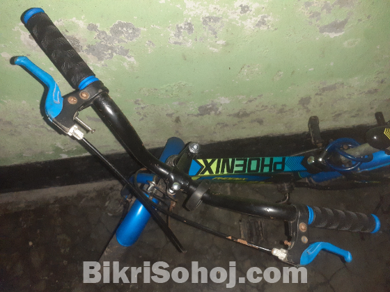 Phonix bycycle