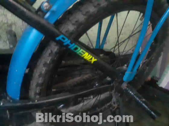 Phonix bycycle