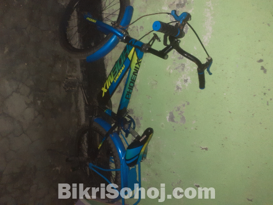 Phonix bycycle