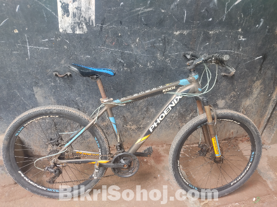 Phoenix Kool Bicycle / ফিনিক্স কুল বাইসাইকেল