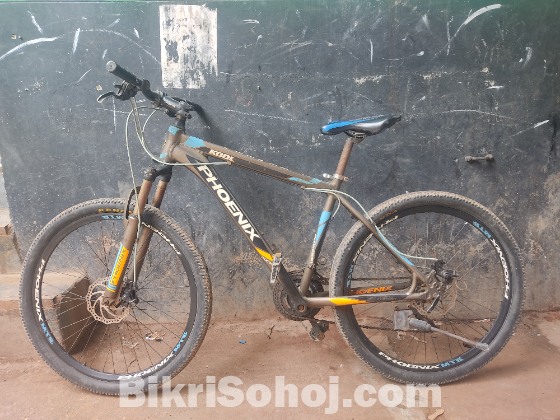 Phoenix Kool Bicycle / ফিনিক্স কুল বাইসাইকেল