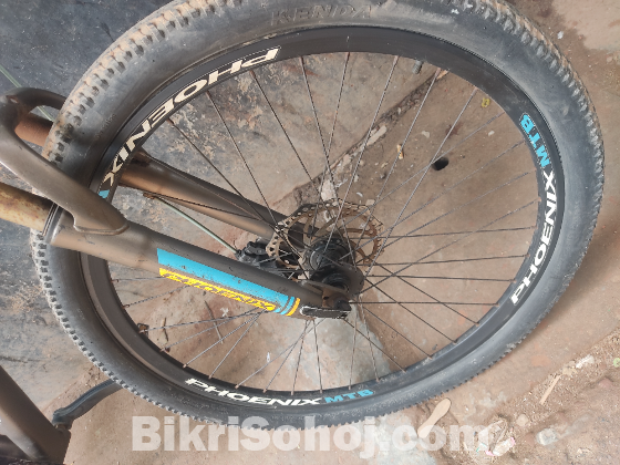 Phoenix Kool Bicycle / ফিনিক্স কুল বাইসাইকেল