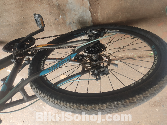 Phoenix Kool Bicycle / ফিনিক্স কুল বাইসাইকেল