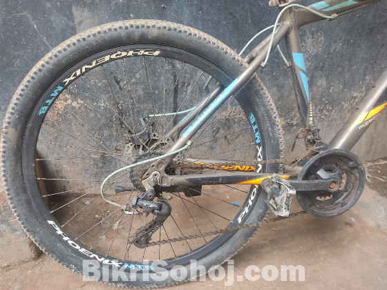 Phoenix Kool Bicycle / ফিনিক্স কুল বাইসাইকেল