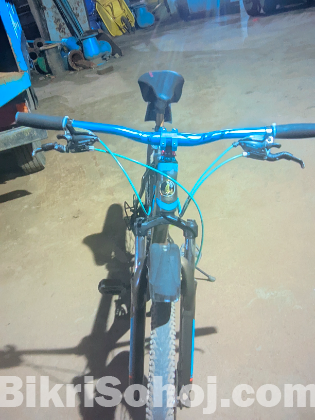 Phoenix 26 size