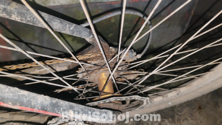 Foxter cycle