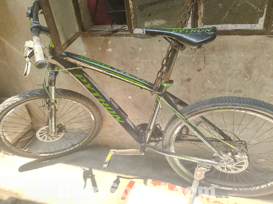 Cycle