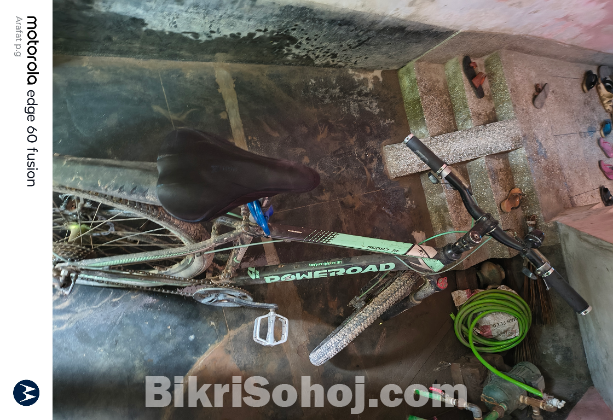 বাই সাইকেল