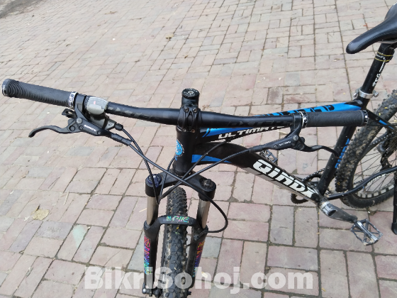 giant cycle