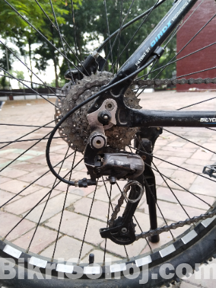 giant cycle