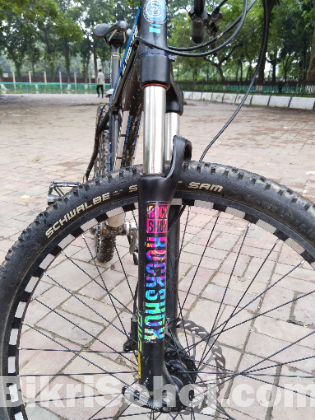 giant cycle