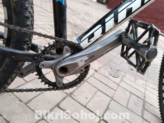 giant cycle