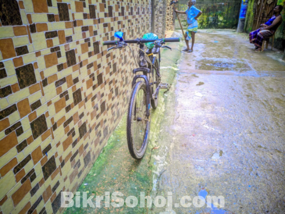 ফনিক্স সাইকেল মডেল - M - 1.7 C