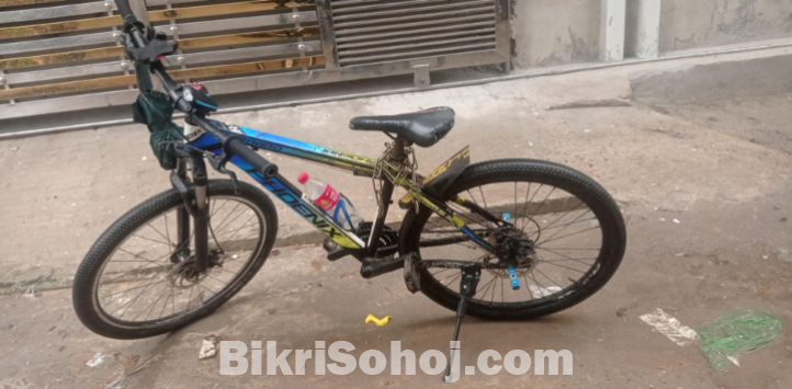 Phoenix cycle