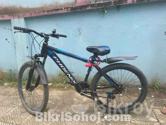 Phonix cycle