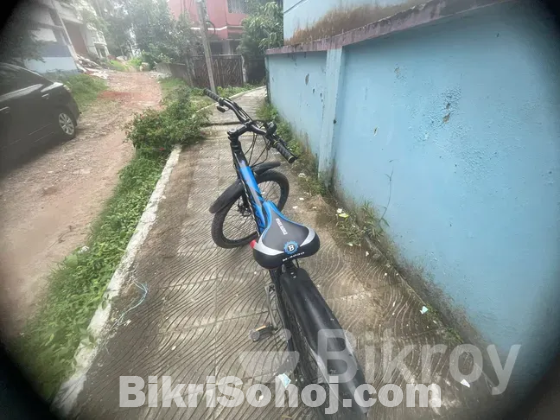 Phonix cycle