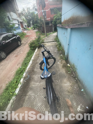 Phonix cycle