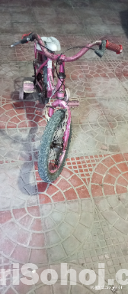 By cycle