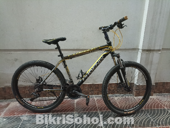 Phoenix cycle