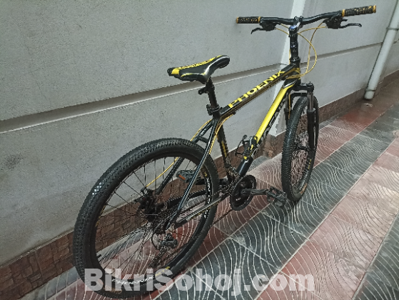 Phoenix cycle