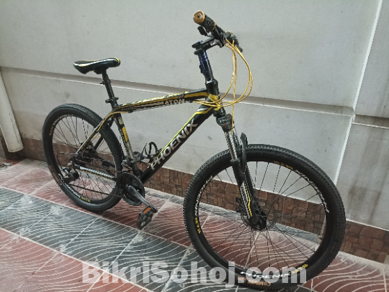 Phoenix cycle