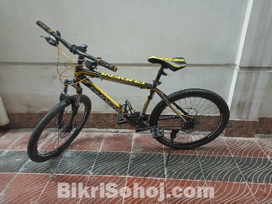 Phoenix cycle