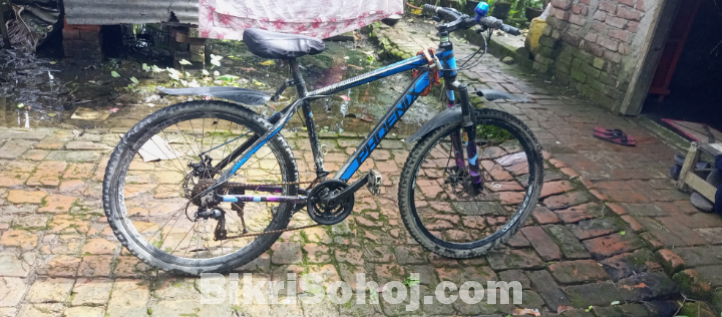 Phoenix gear bicycle