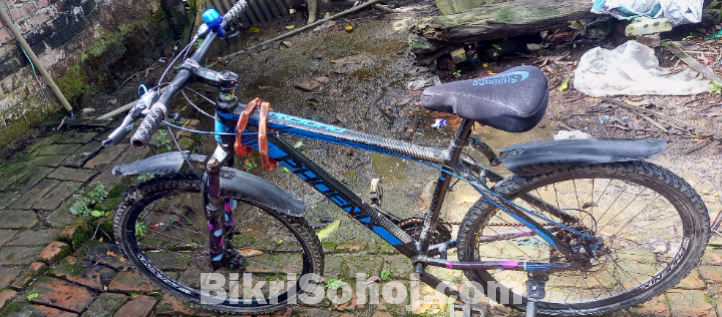 Phoenix gear bicycle