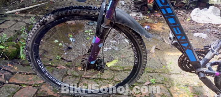 Phoenix gear bicycle