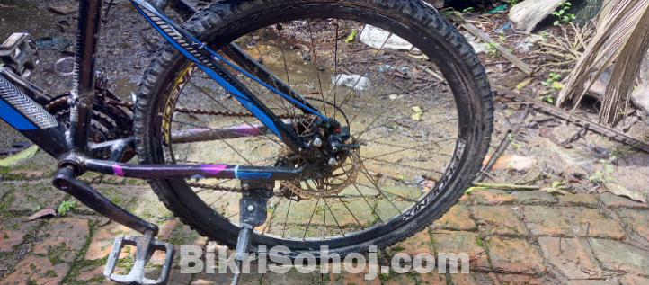 Phoenix gear bicycle