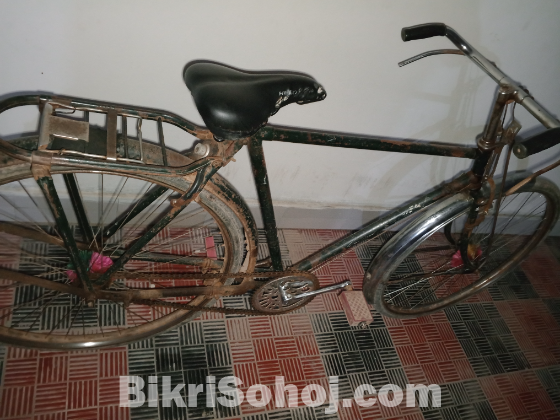 BSA brand india
