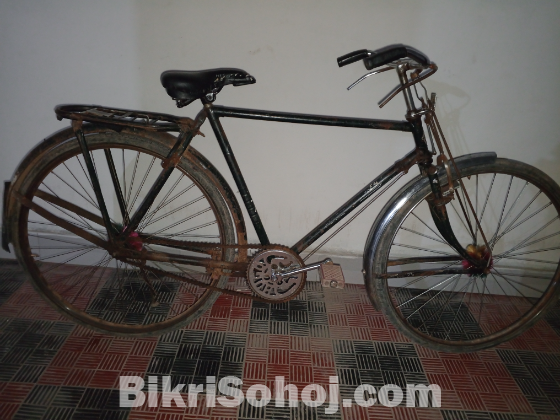 BSA brand india