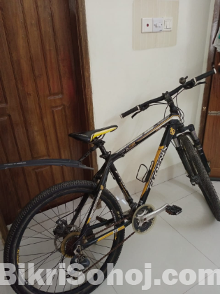 Phoenix Cycle For Sell