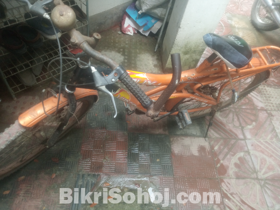 Non Gear Laux bicycle