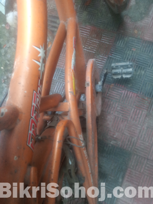 Non Gear Laux bicycle