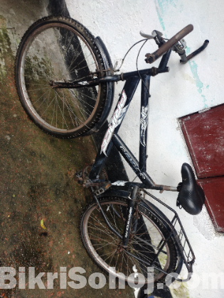 Prince Cycle