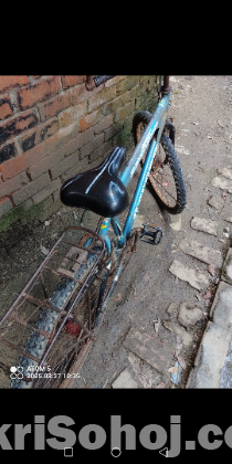 Cycle