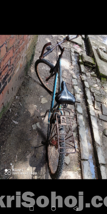 Cycle