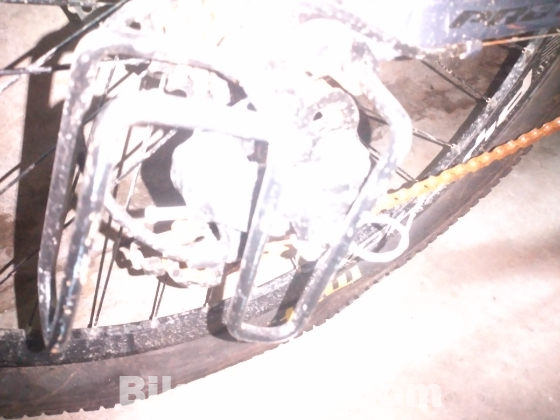 Cycle on python company