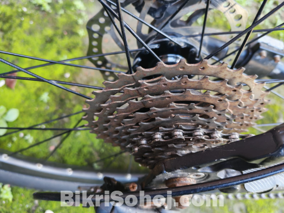 Cycle