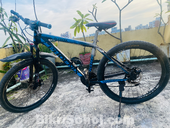 Phonix cycles