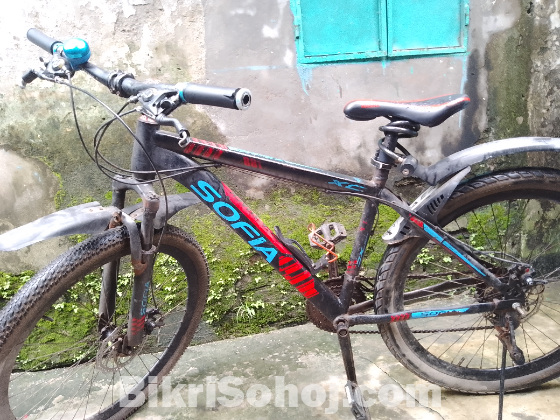 Cycle