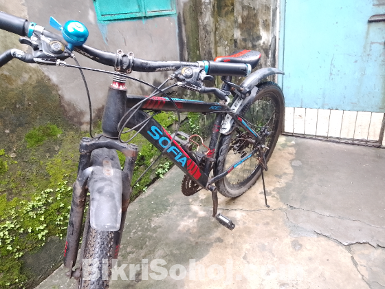 Cycle
