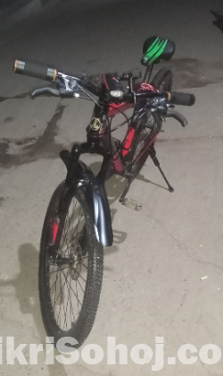 phoenix bicycle
