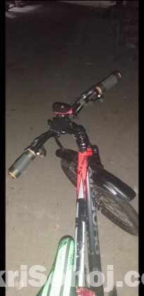 phoenix bicycle