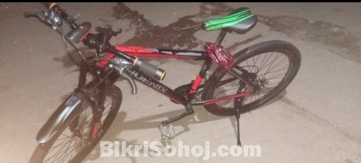 phoenix bicycle