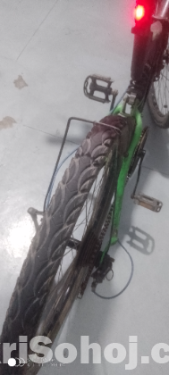 Prince giar bicycle